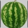 melon «melon»