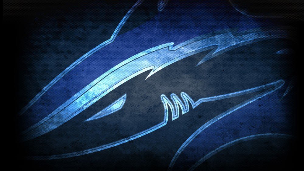 Vega Squadron по Dota 2 лишились одного игрока