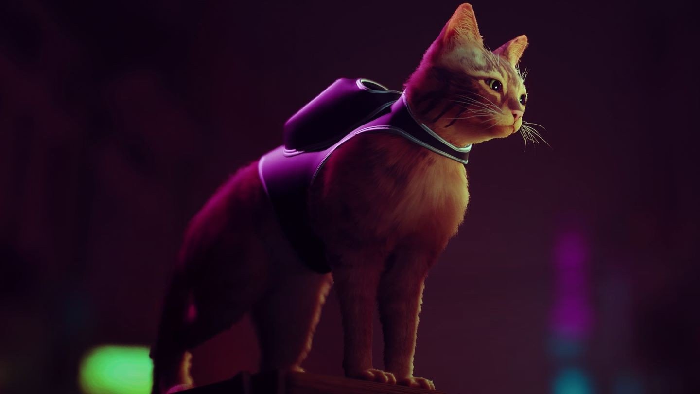 Киберпанк про кота Stray уже появился на торрентах