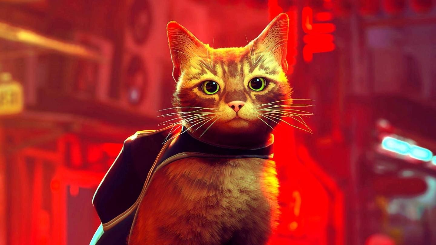 Кот играет в игры. Stray игра про кота. Игра про кота 2022 Stray. СТРЕЙ кошачий киберпанк. Кот киберпанк.