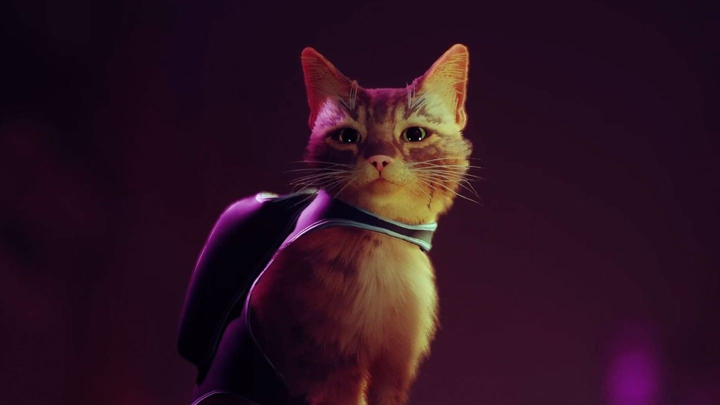 Кота из Stray перенесли в Doom  мод уже можно скачать