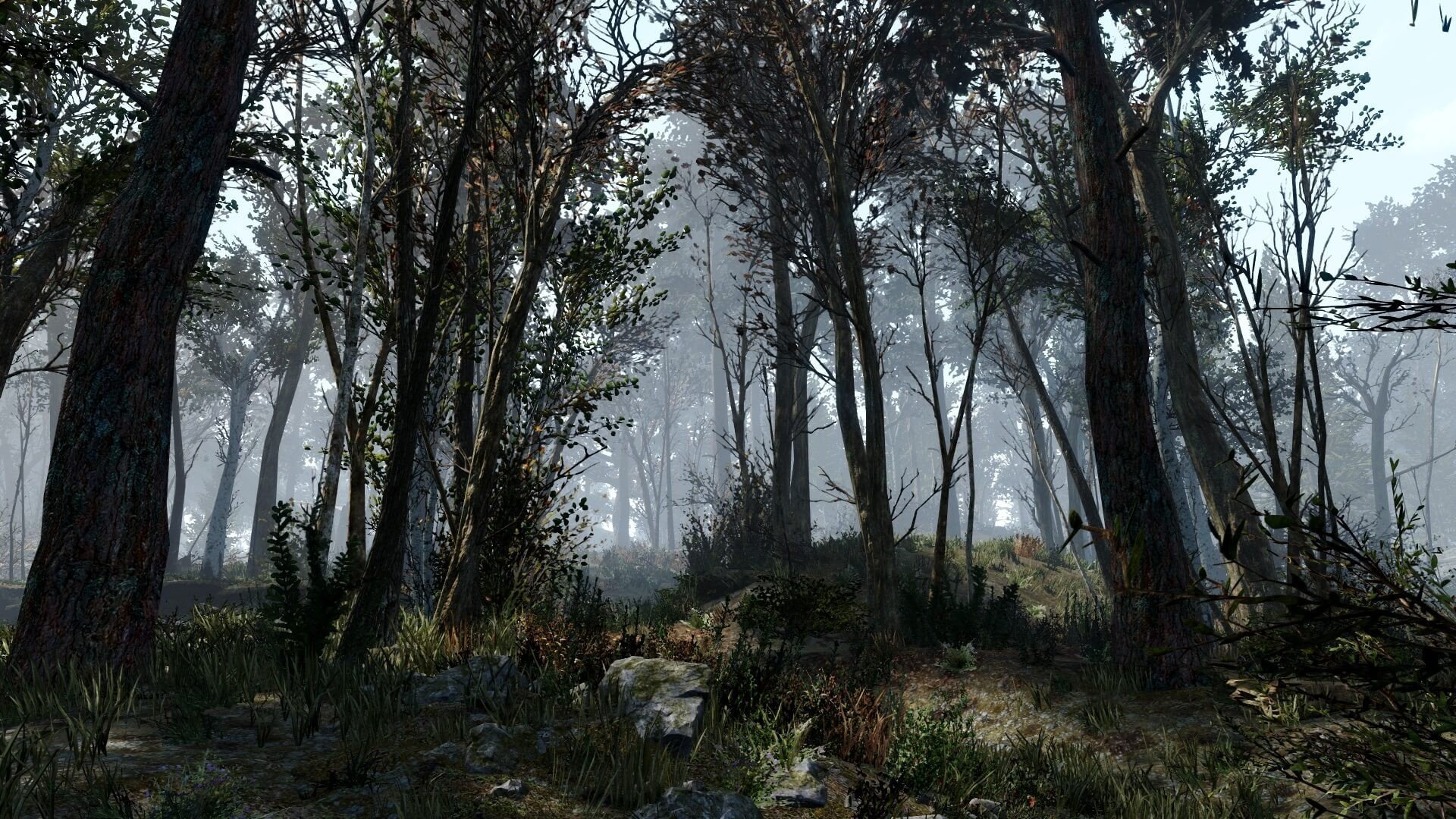 Создатель модов добавил в Fallout 4 более 18 тысяч деревьев сделав мир после апокалипсиса более живым и реалистичным