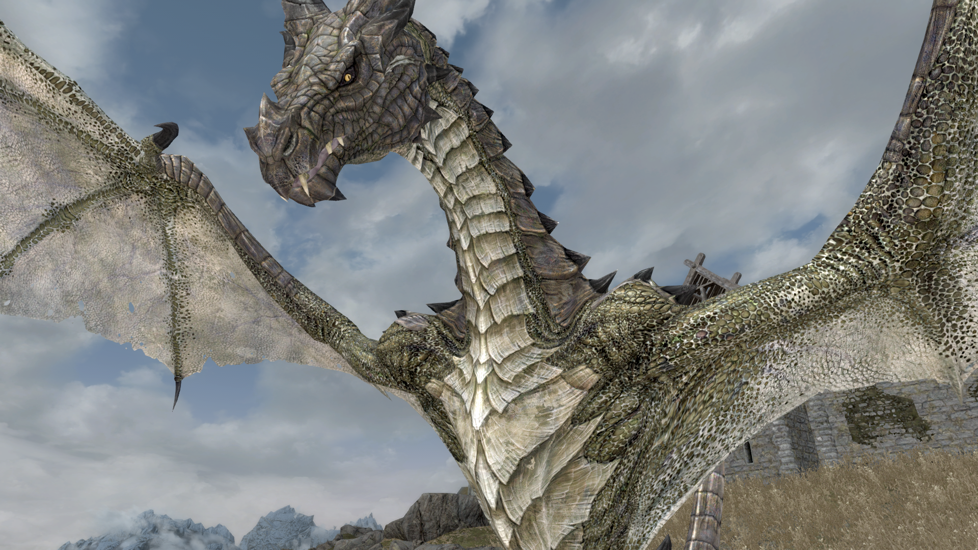Драконов в Skyrim теперь можно разглядеть в разрешении 16К