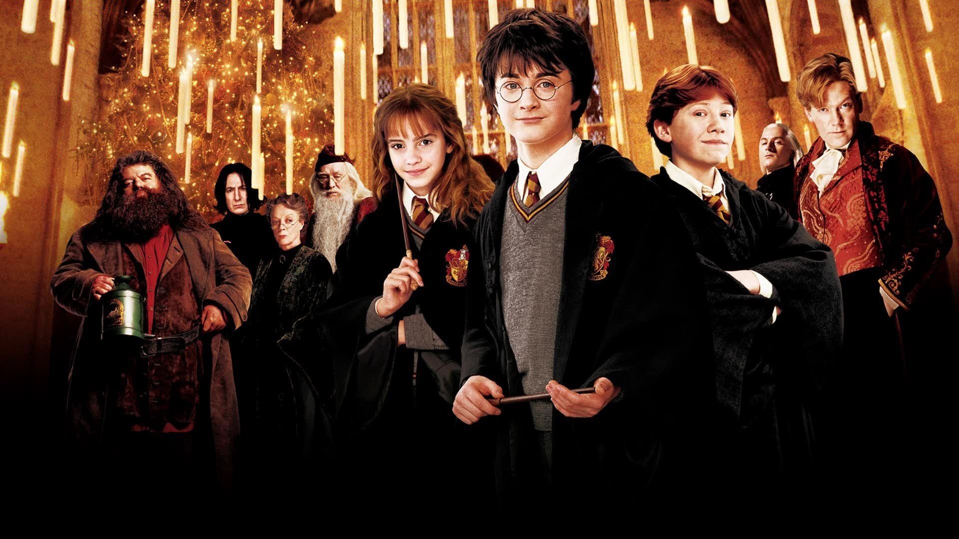 Harry potter dublaj izle