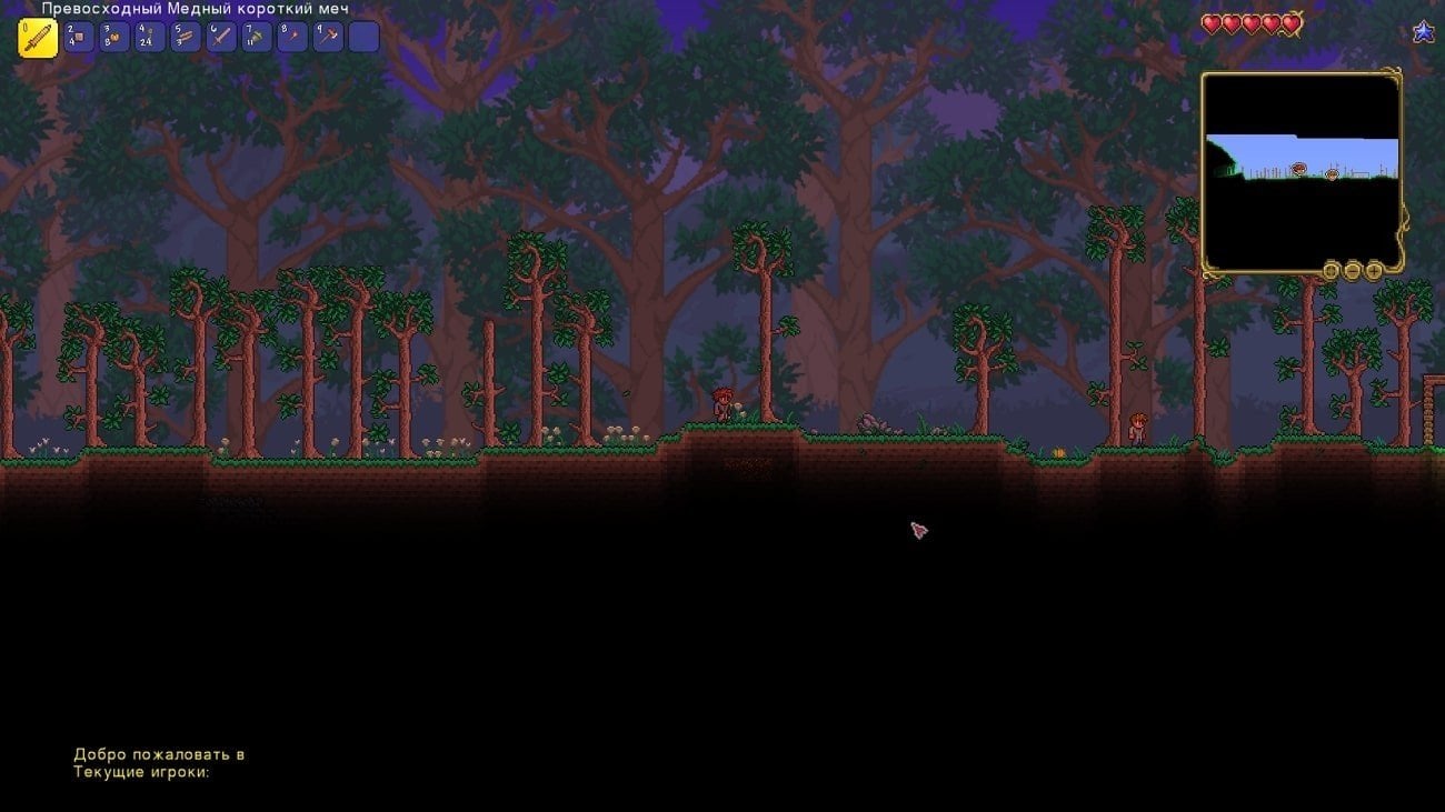 Как играть в Terraria по Сети с другом