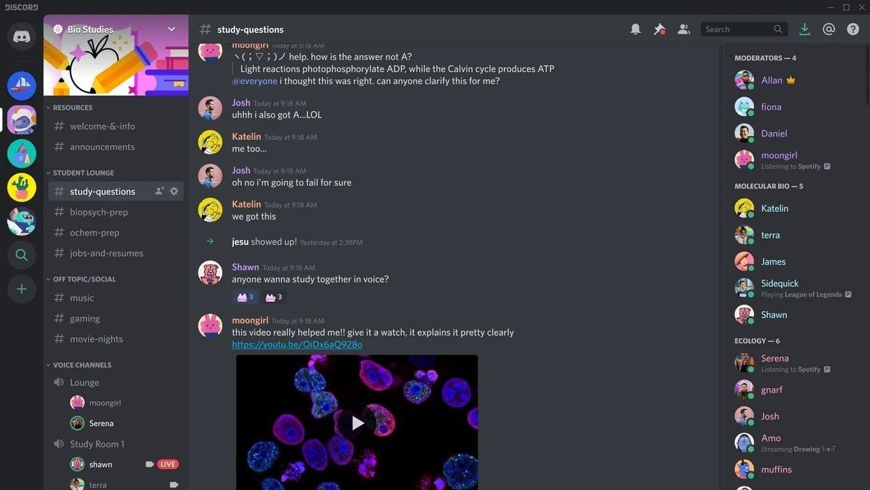 Источник: Protocol