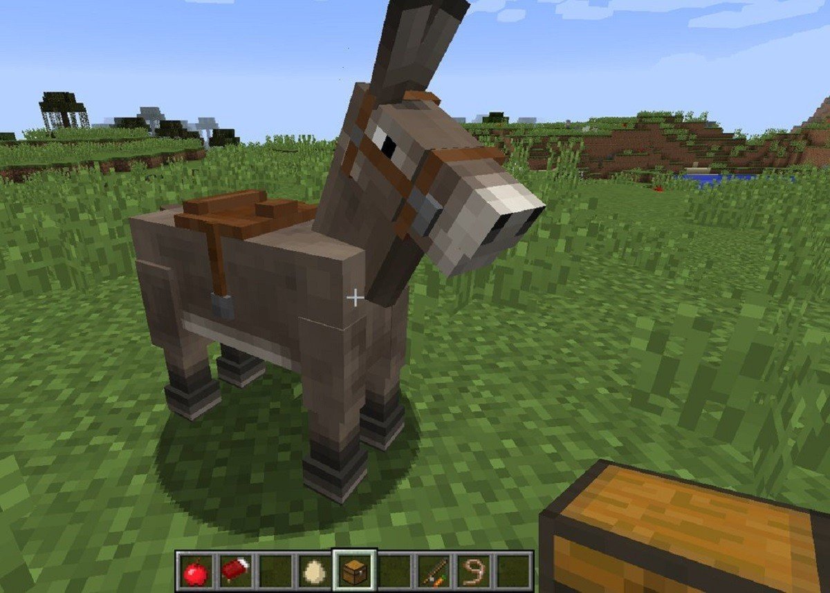 Как приручить лошадь-скелет в Minecraft