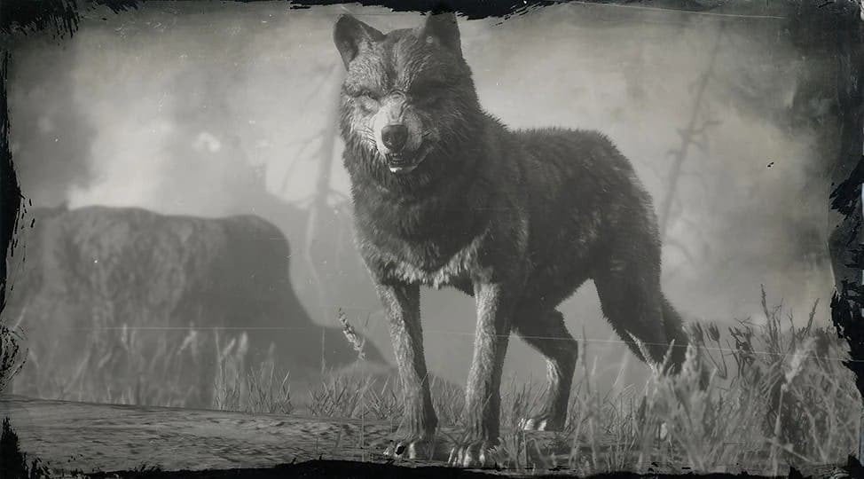Легендарный волк