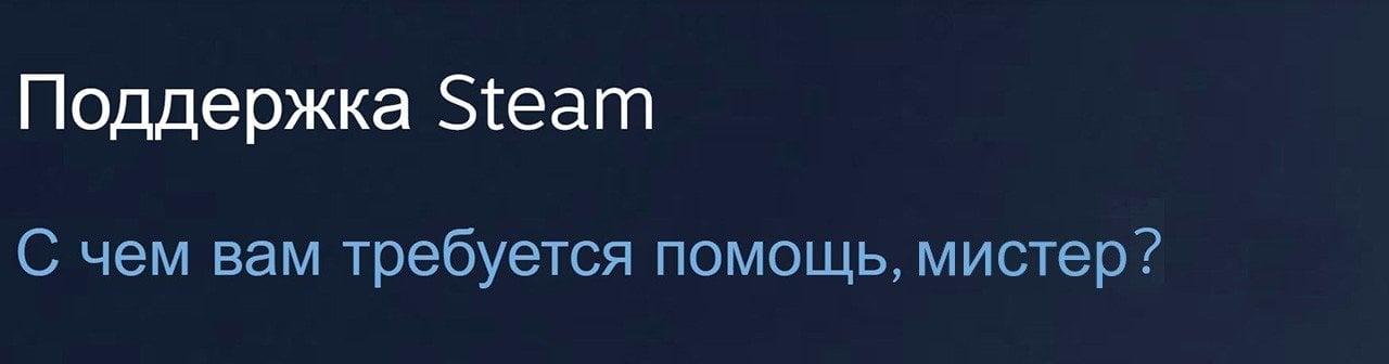 Поддержка в Steam подробный гайд