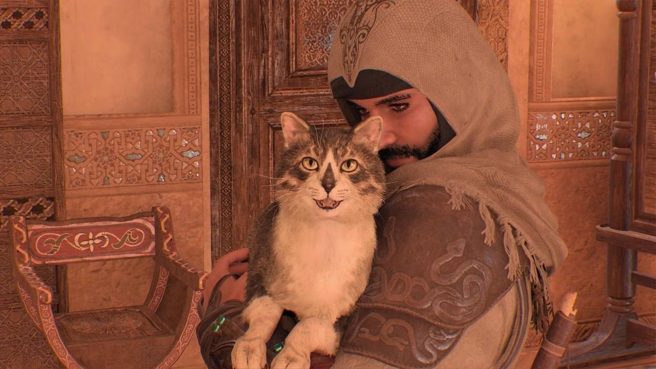 В Assassins Creed Mirage увековечили кота на мордочке которого был логотип игры