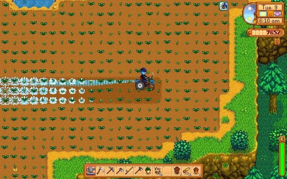 Stardew Valley         