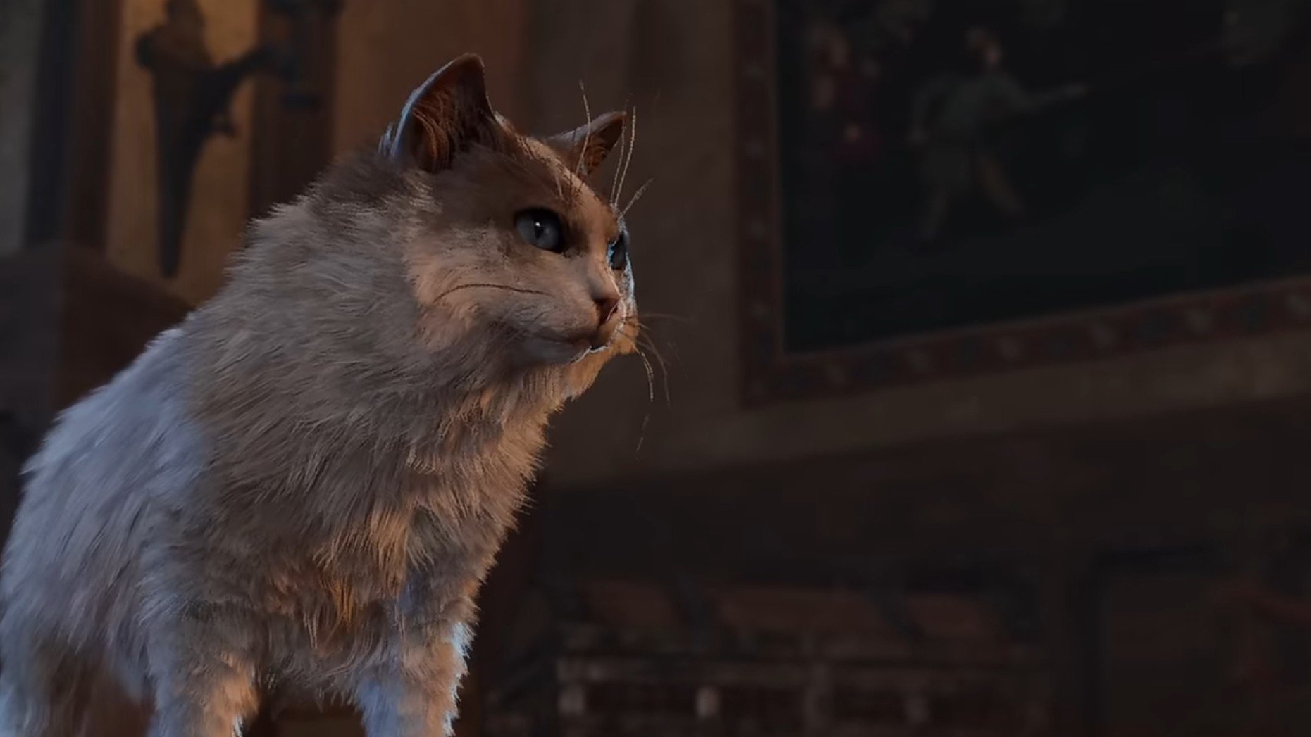 Игрок полностью прошел Baldurs Gate 3 в кошачьей форме  вот как ему это удалось