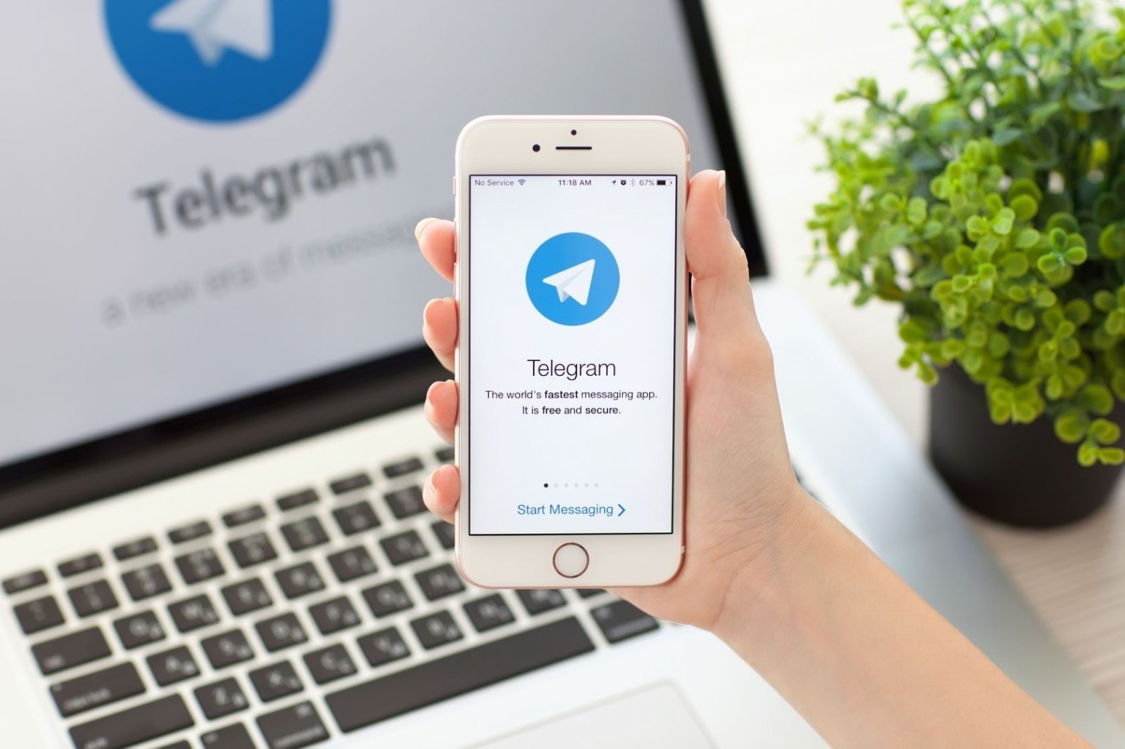 Ваш Telegram в опасности — мошенники придумали новый способ кражи аккаунтов  - CQ