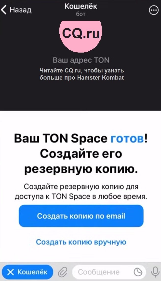 Источник: CQ.ru / Создание кошелька TON Space
