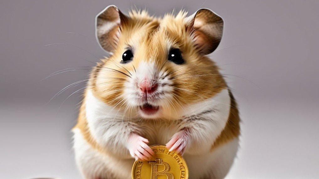 Шифр Морзе в Hamster Kombat на 2829 июля рассекречен