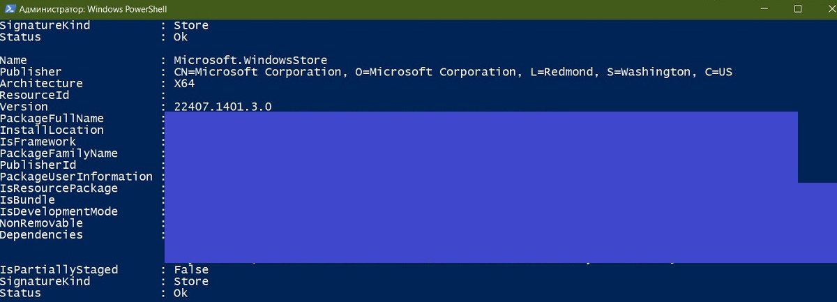 Источник: Скриншот CQ.ru / Раздел Microsoft.WindowsStore в PowerShell