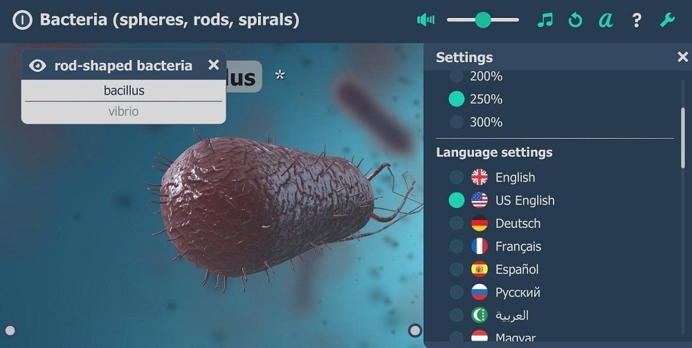 Источник: APKPure / Приложение Bacteria 3D