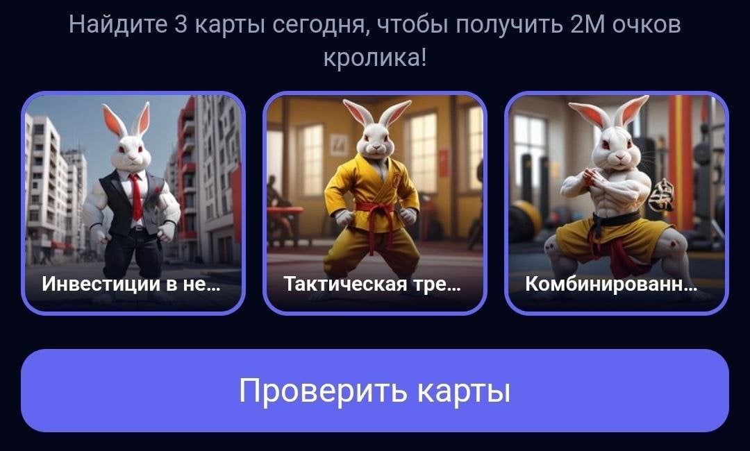 Rocky rabbit карты на сегодня