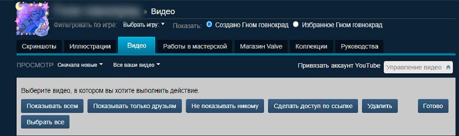 Источник: CQ.ru / Настройки видимости видео в Steam