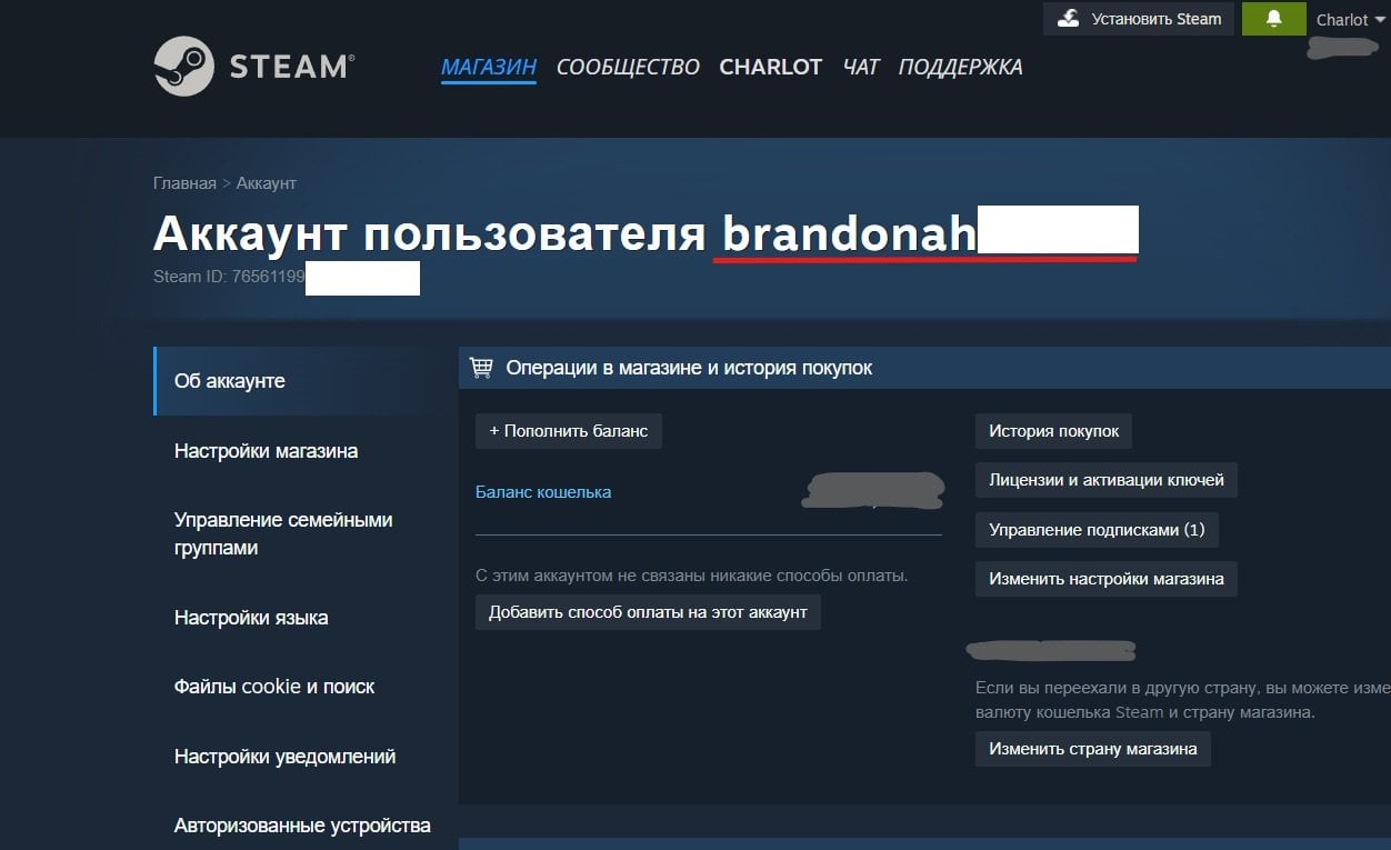 Источник: Скриншот CQ.ru / Логин аккаунта Steam&nbsp;