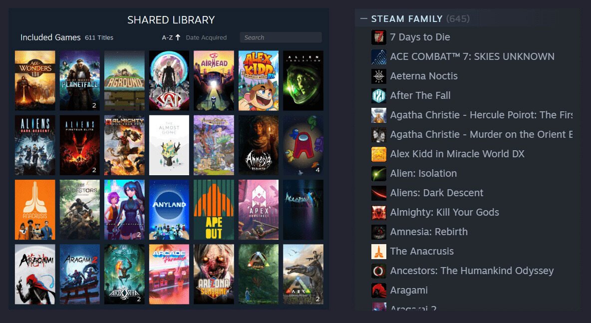Источник: steamcommunity.com / Общая библиотека игр