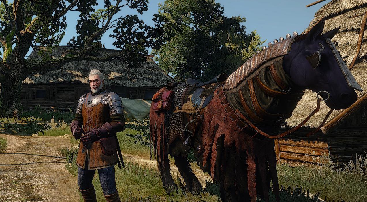 Скриншот The Witcher 3