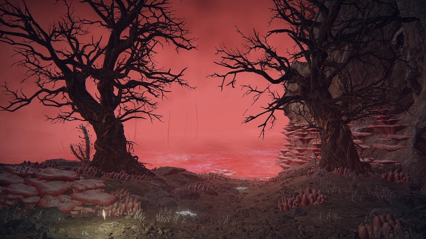 Источник: Elden Ring Wiki / Озеро Гнили