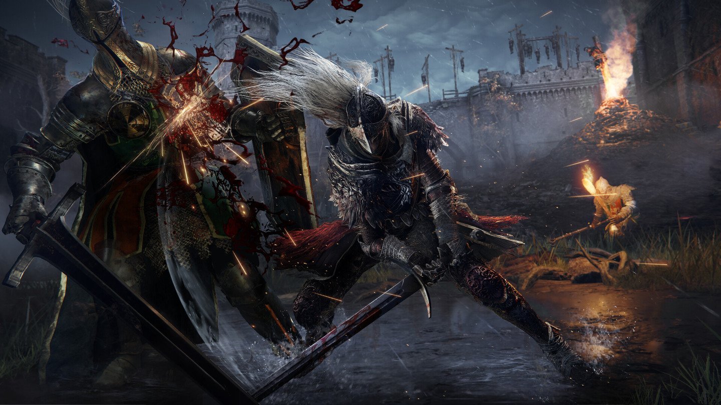 Источник: Steam / Бой в Elden Ring