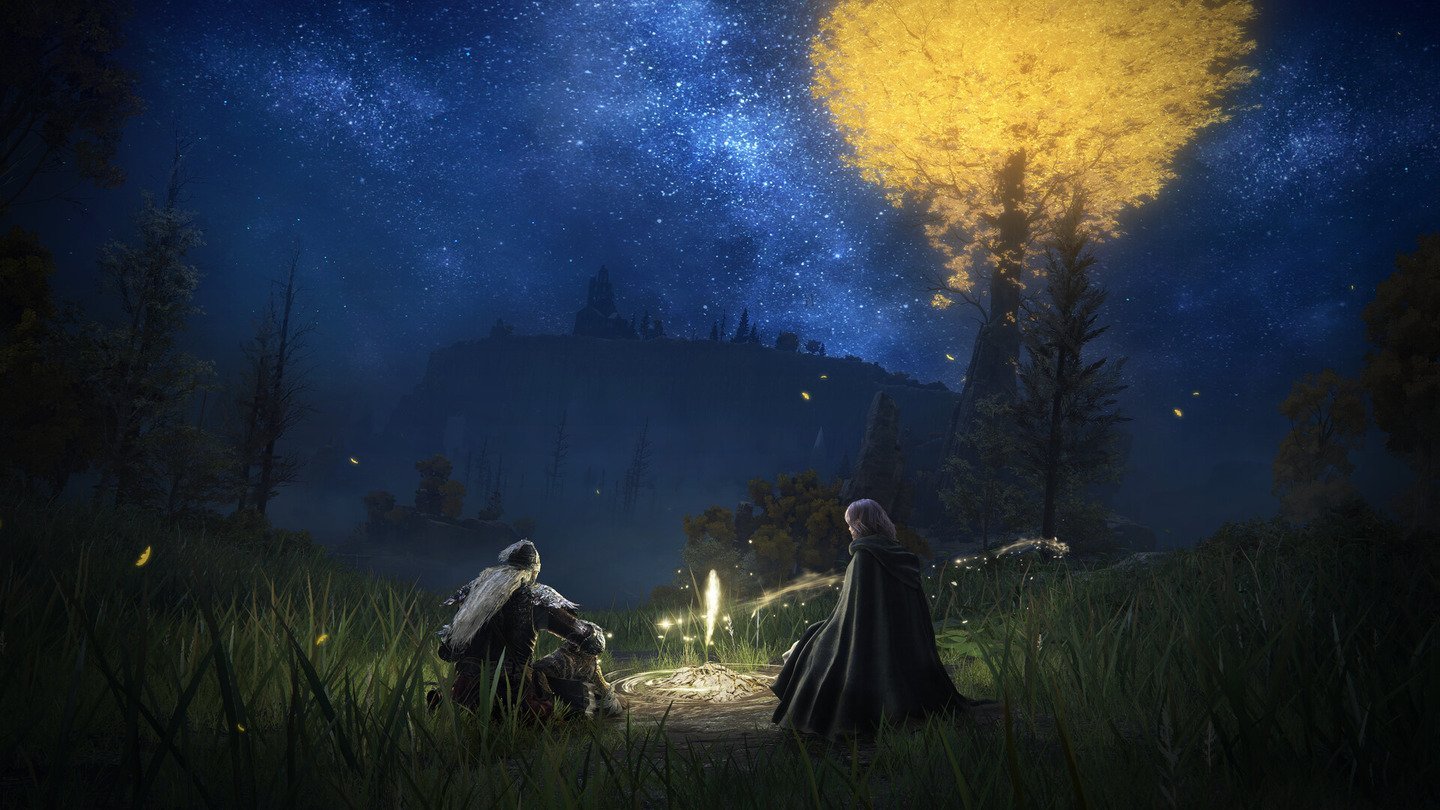 Источник: Steam / Ночь в Elden Ring