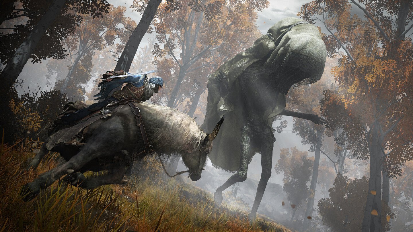Источник: Steam / Бой в Elden Ring