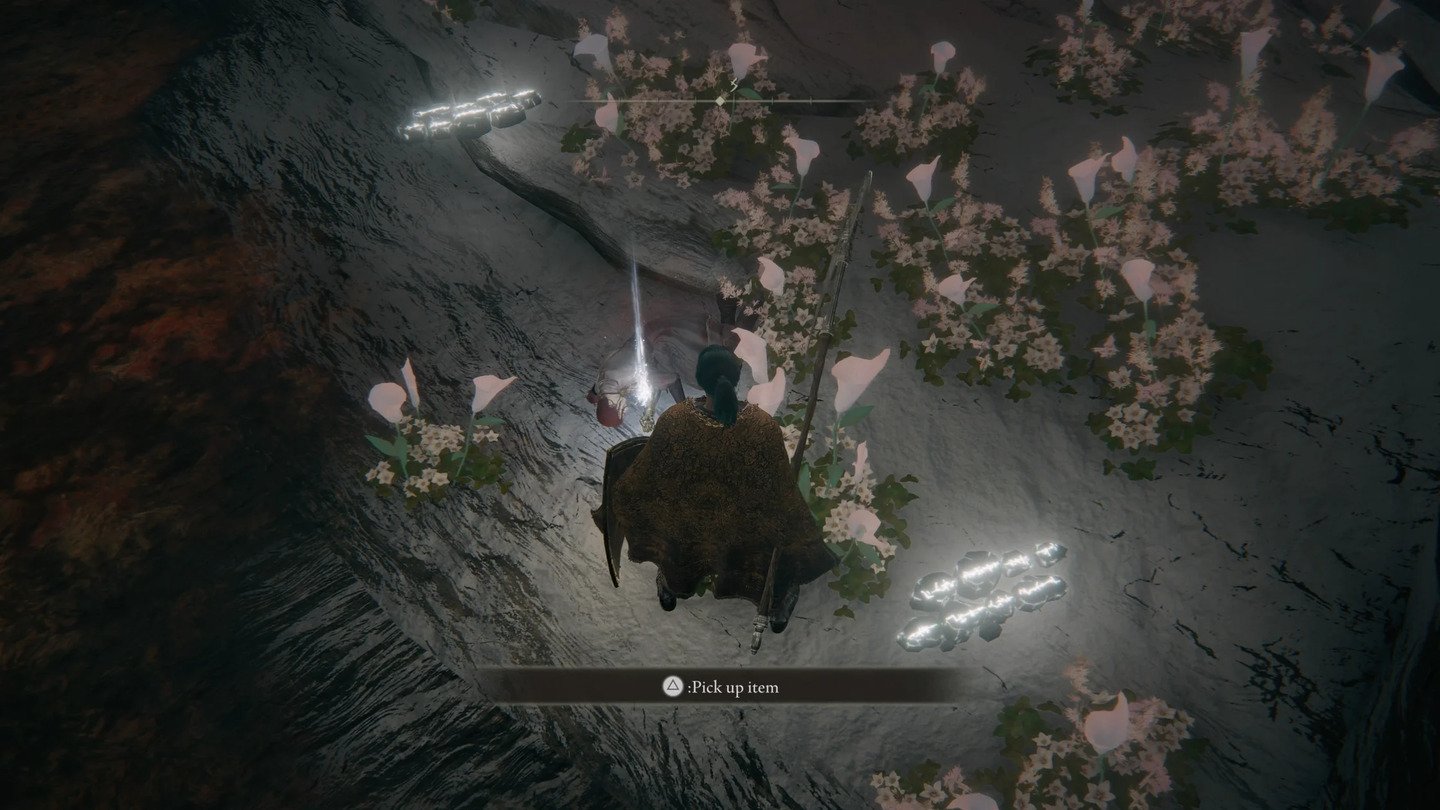 Источник: IGN / Elden Ring