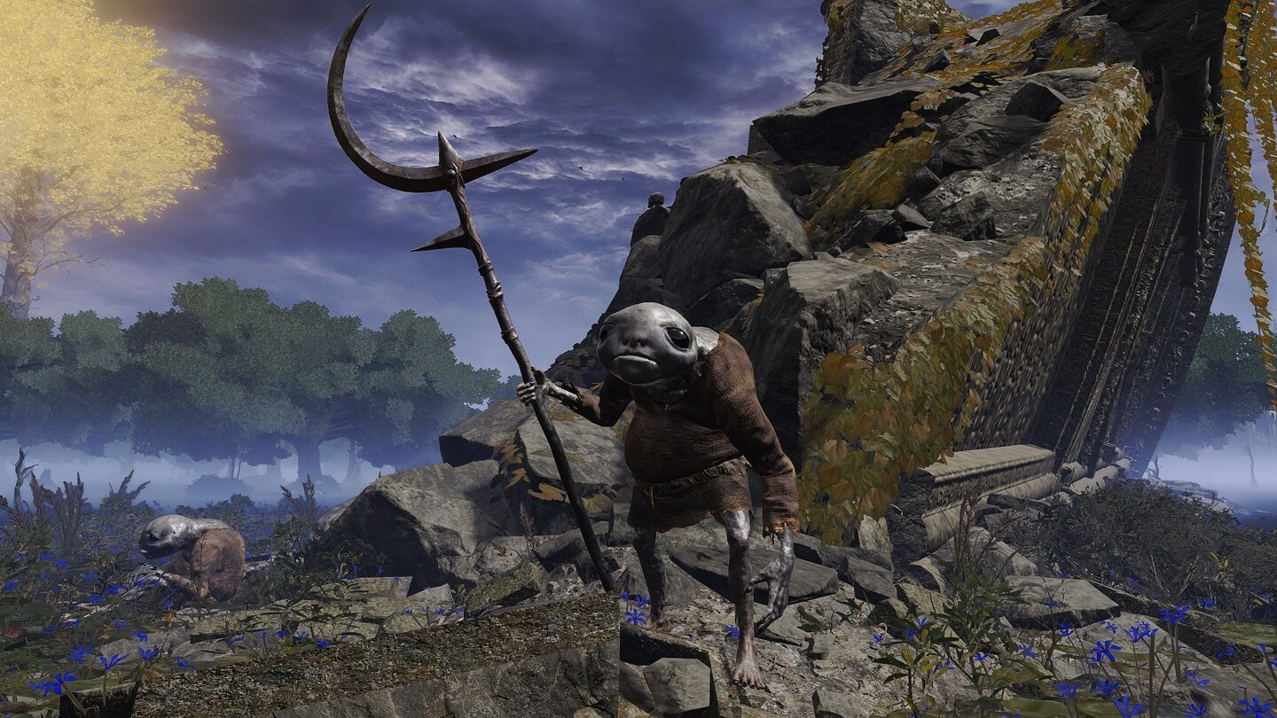Источник: Elden Ring Wiki / Альбинор