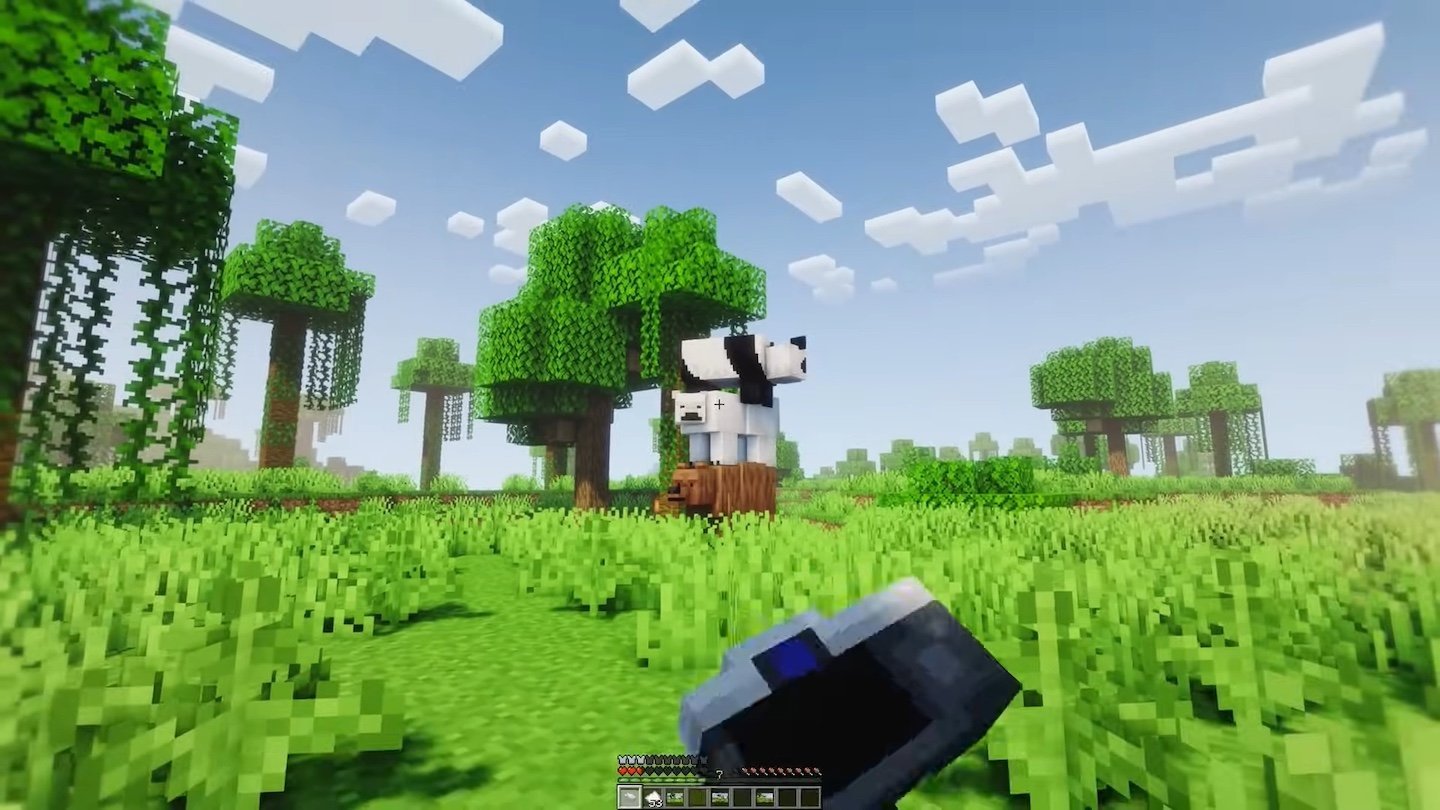 Источник: EnderVerse / Essential в Minecraft