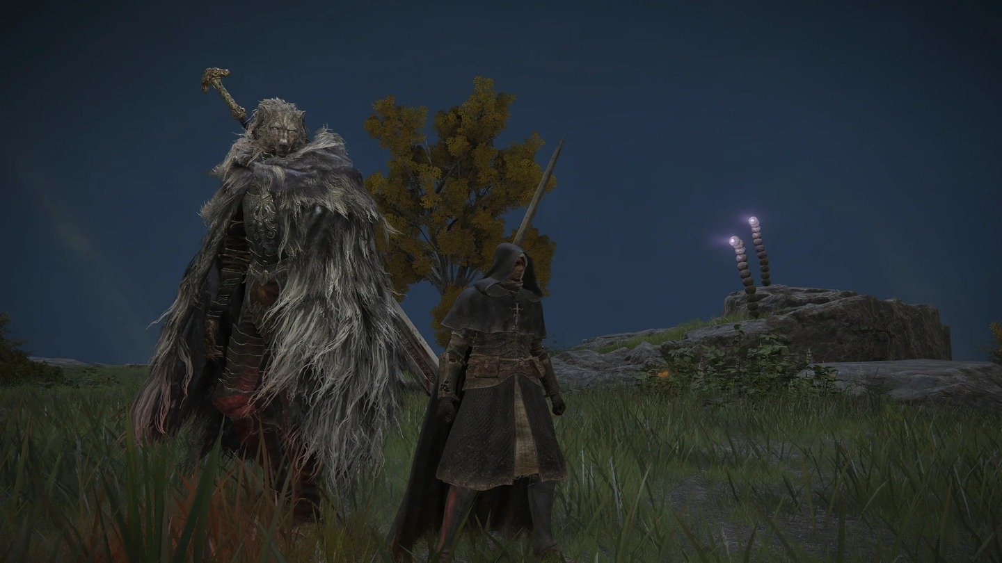 Лучшие билды для Elden Ring Shadow of the Erdtree
