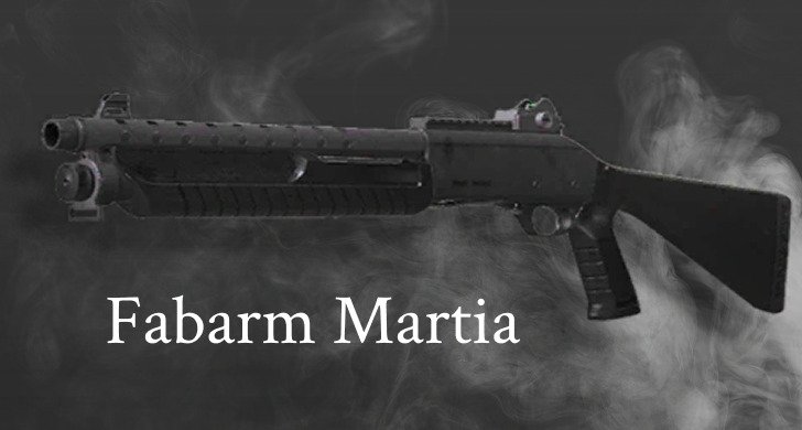 Источник: CQ.ru / Fabarm Martial
