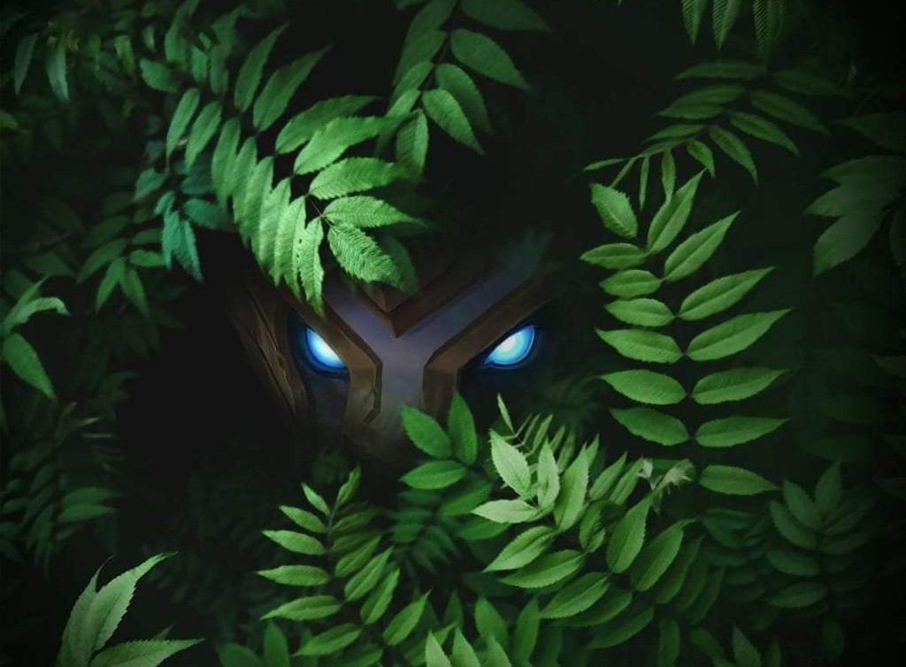 Источник: facebook.com* / Художественное изображение леса в Mobile Legends