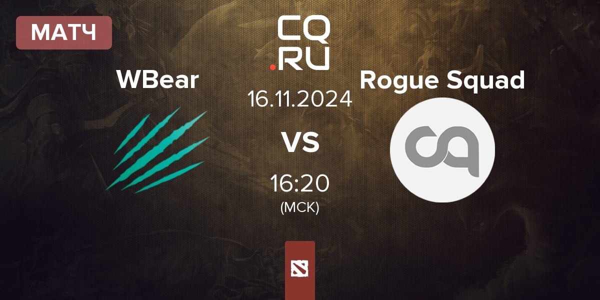 Матч Winter Bear WBear vs Rogue Squad | 16.11