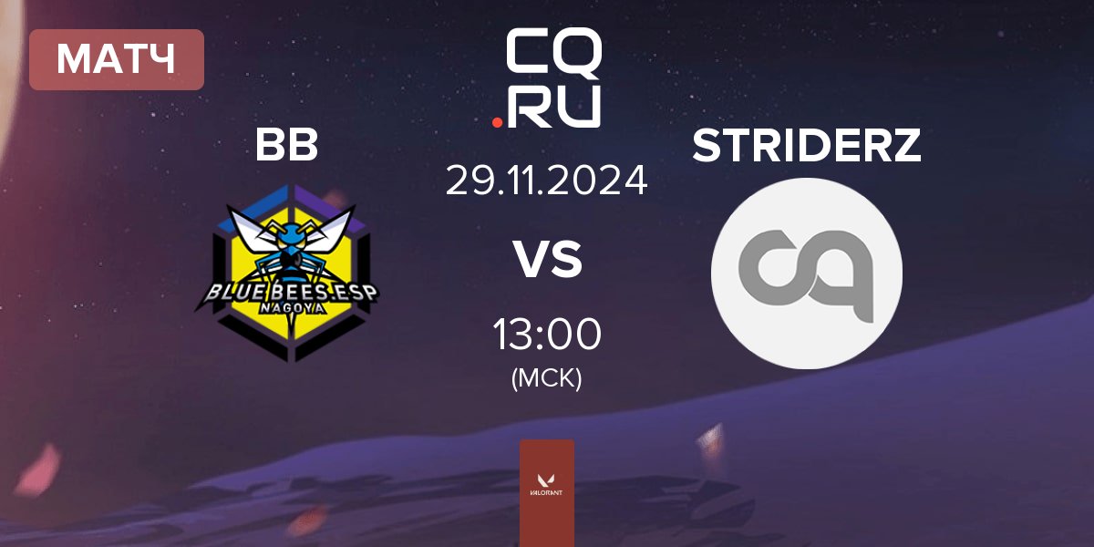 Матч BLUE BEES BB vs STRIDERZ | 29.11