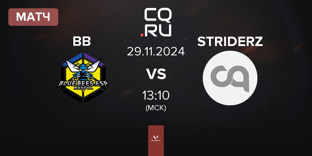 Матч BLUE BEES BB vs STRIDERZ | 29.11