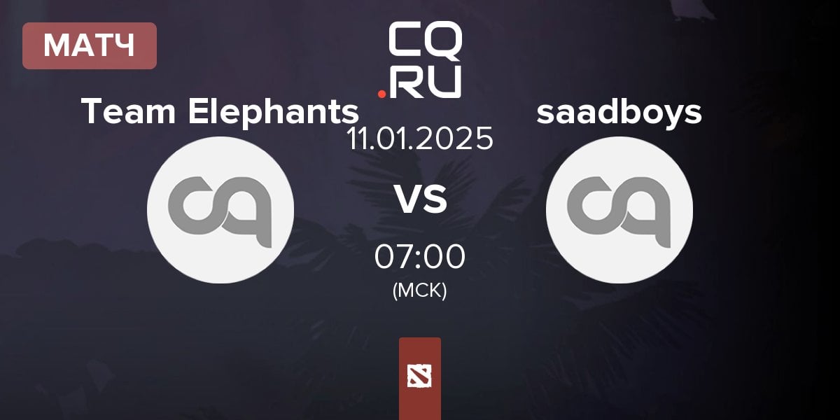 Матч Team Elephants vs saadboys | 11.01