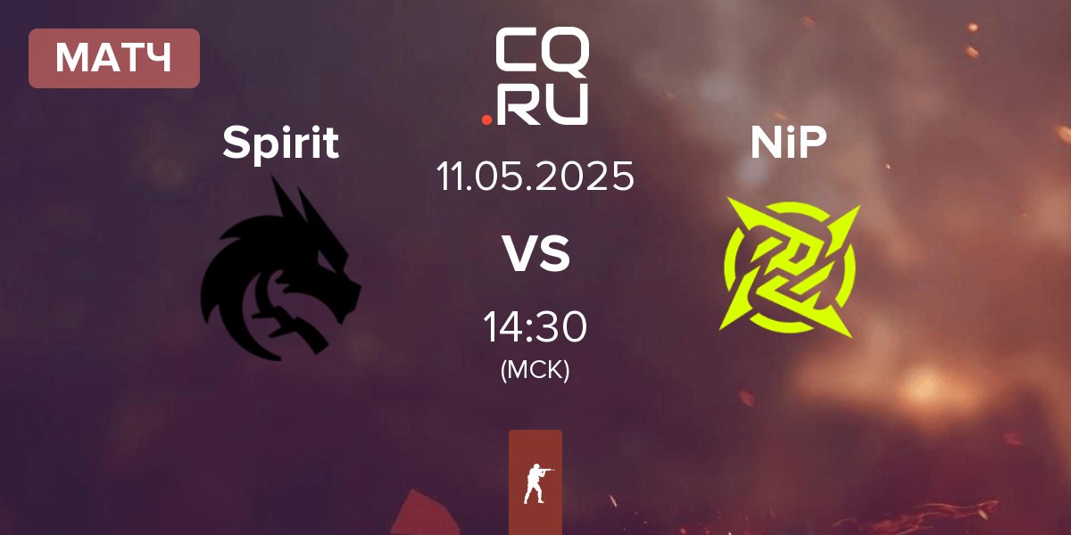 Матч Team Spirit Spirit vs Ninjas in Pyjamas NiP | 11.05