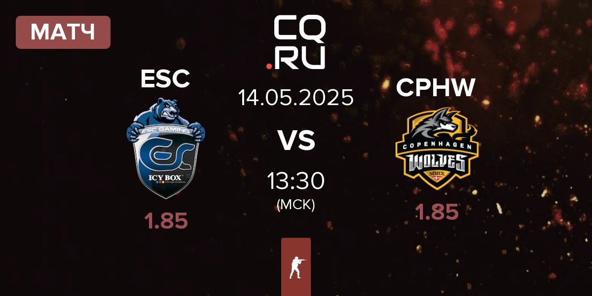 Матч ESC Gaming ESC vs Copenhagen Wolves CPHW | 14.05