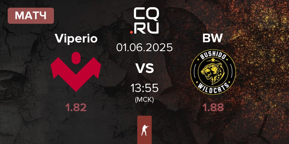 Матч Viperio vs Bushido Wildcats BW | 01.06