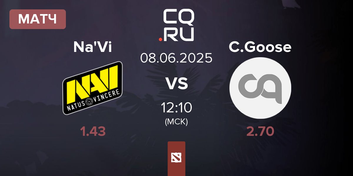 Матч Natus Vincere Na'Vi vs Cyber Goose C.Goose | 08.06