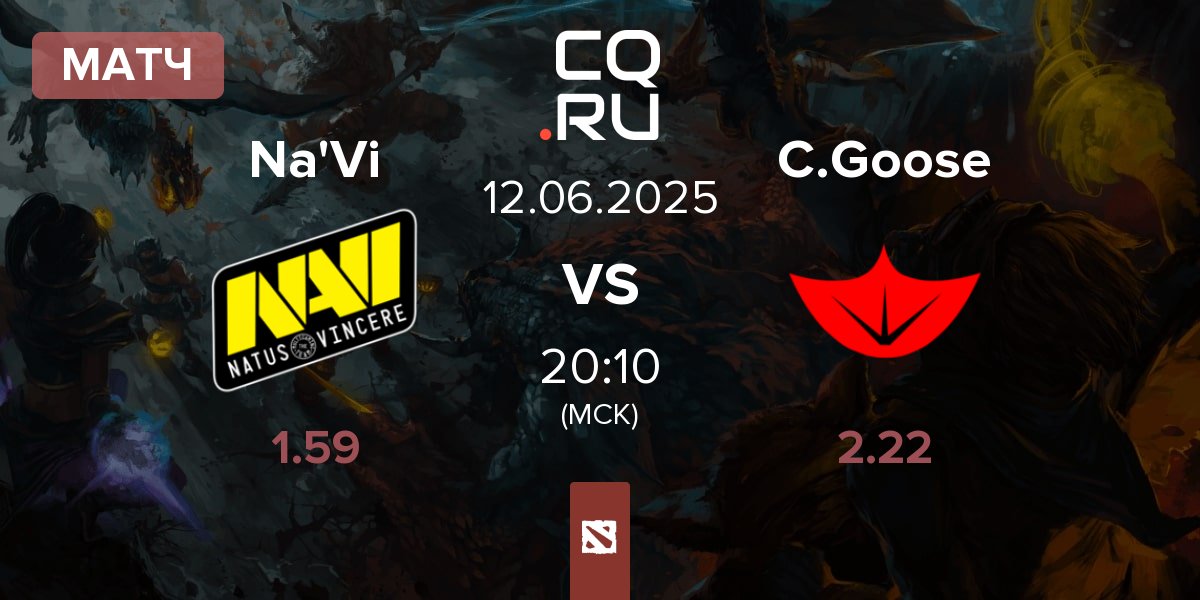 Матч Natus Vincere Na'Vi vs Cyber Goose C.Goose | 12.06