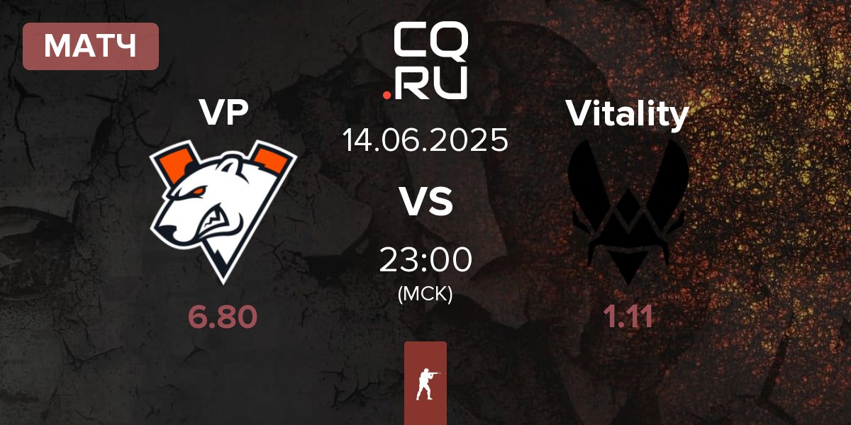 Матч Virtus.Pro VP vs Team Vitality Vitality | 14.06