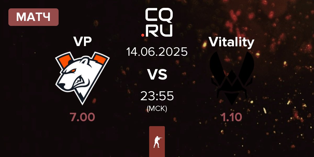 Матч Virtus.Pro VP vs Team Vitality Vitality | 14.06