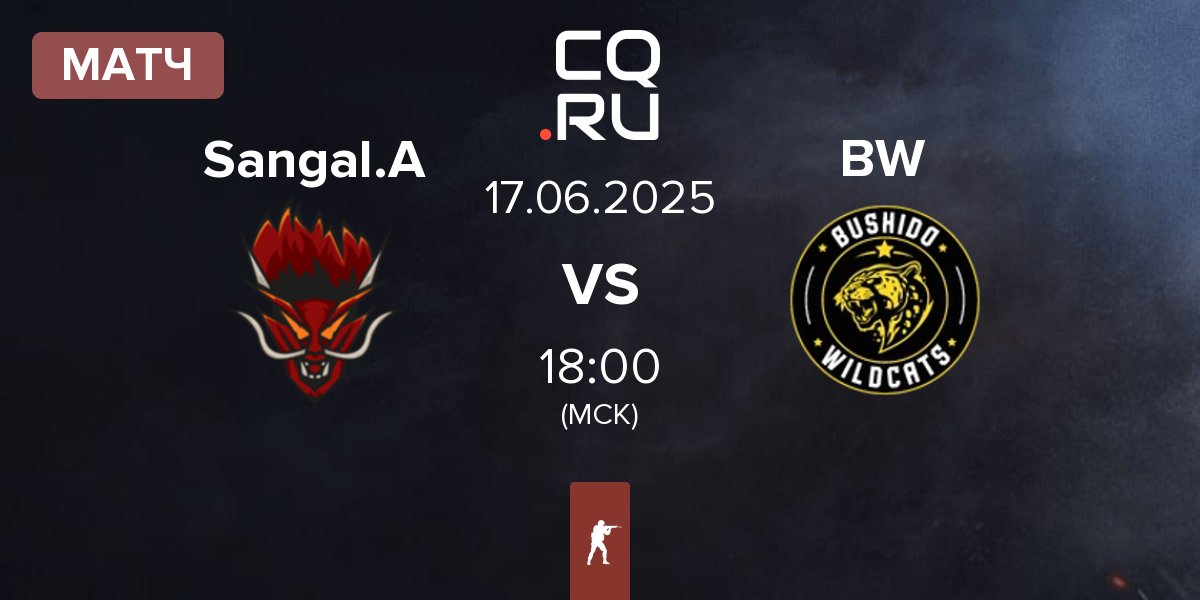 Матч Sangal Academy Sangal.A vs Bushido Wildcats BW | 17.06