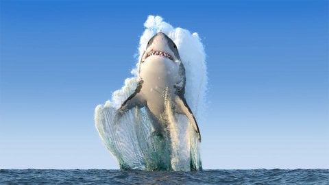 Топ10 лучших игр про акул на ПК
