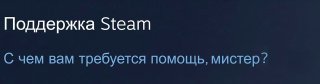 Поддержка в Steam подробный гайд